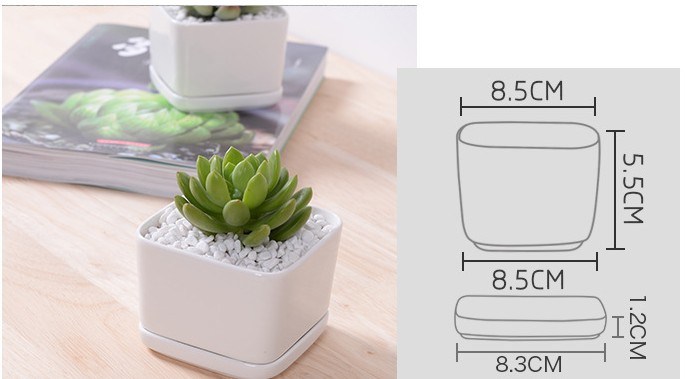 Pot de fleur carré blanc contenant une base
