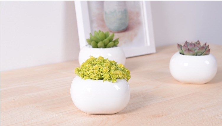 Mini pot de fleurs en céramique de bureau