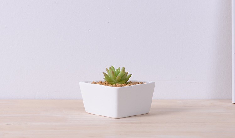 Pot de fleurs combiné triangle en céramique de bureau