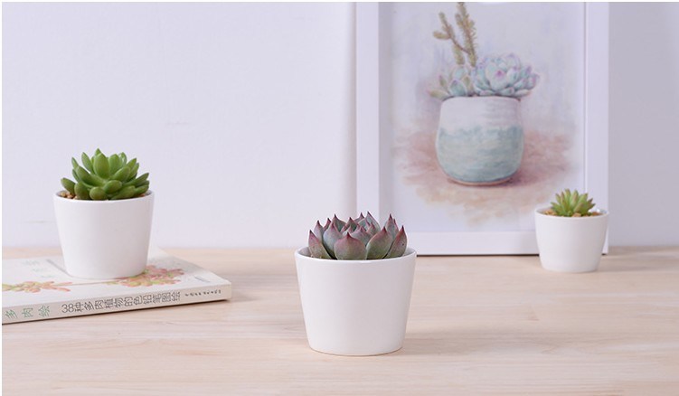 Grand mini pot de fleurs rond en céramique