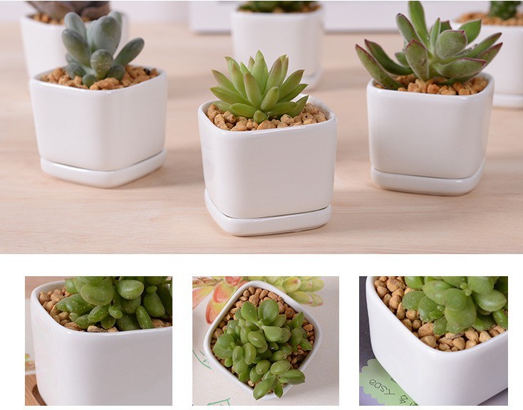 Pot de fleurs à base de porcelaine blanche en céramique de mode de personnalité