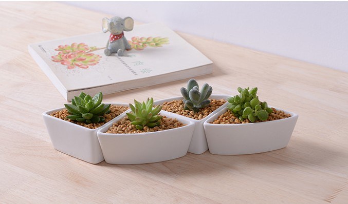 Pot de fleurs combiné triangle en céramique de bureau