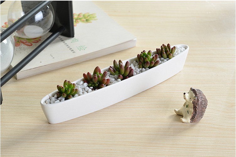 Mini pot de fleurs blanc en forme de bateau d'olive en céramique personnalisé