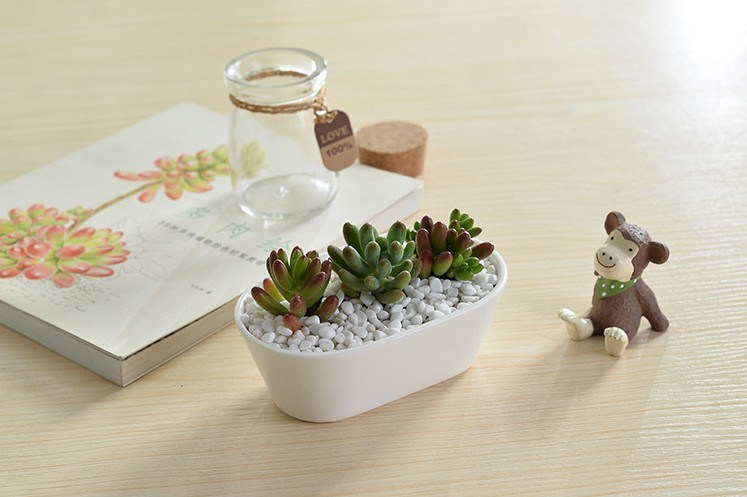Table basse Type de bureau Pot de fleurs en céramique White Goose