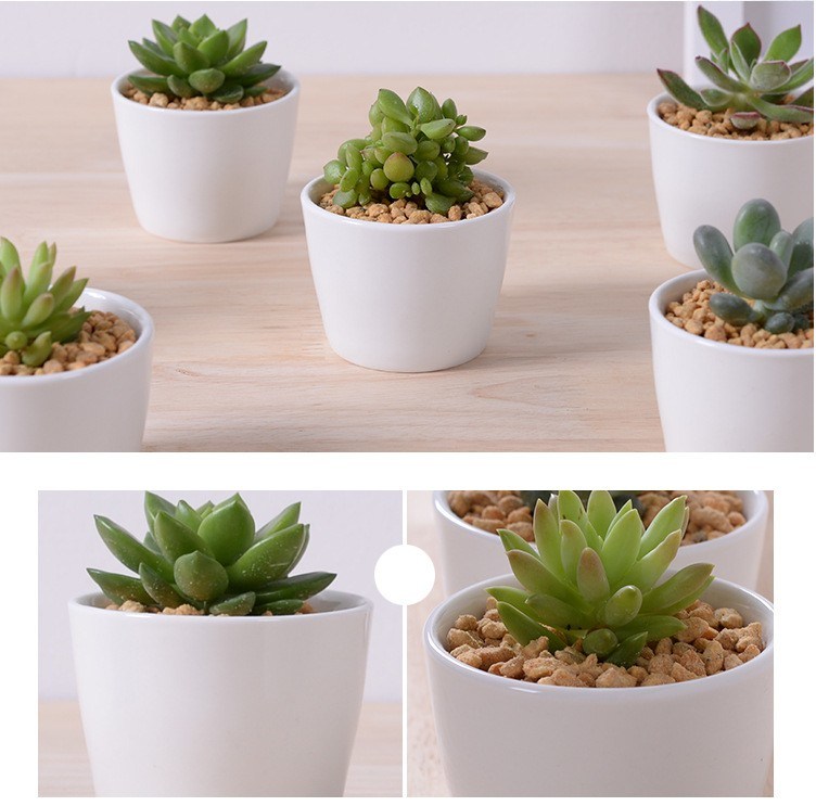 Grand mini pot de fleurs rond en céramique