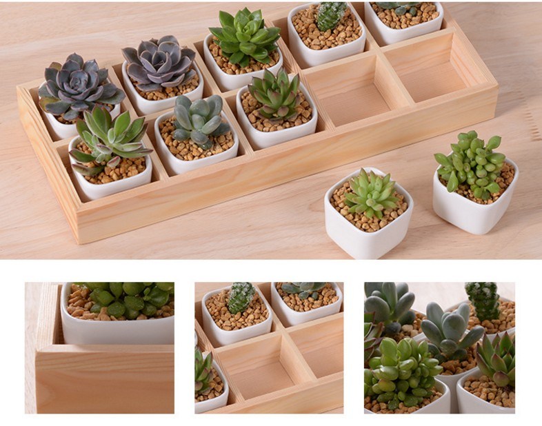 Bureau de loisirs avec 5 pots en céramique à base de treillis