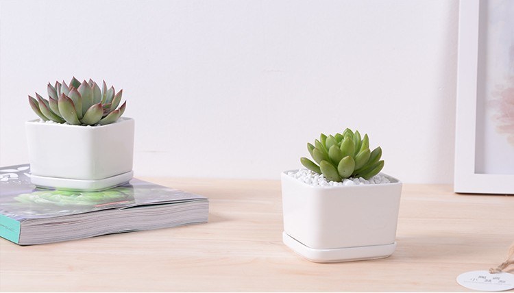 Pot de fleur carré blanc contenant une base