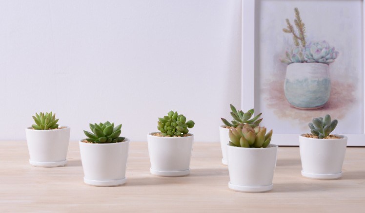 Bureau de loisirs petit vase à fleurs rond en céramique