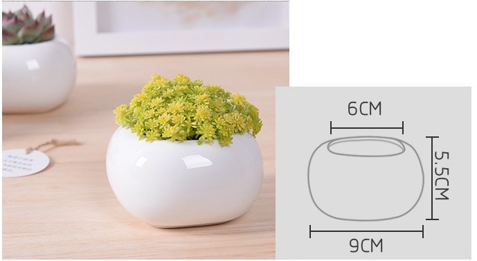 Mini pot de fleurs en céramique de bureau