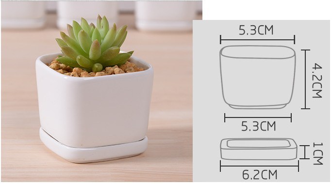 Boîte de 5 treillis avec pot de fleur en céramique blanche