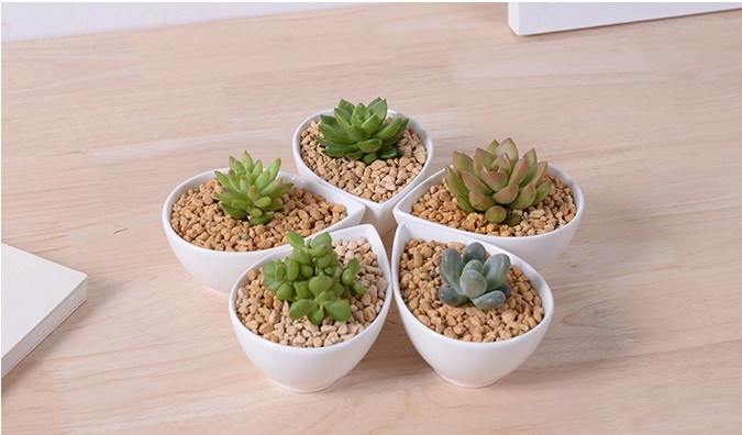 Articles d'ameublement de bureau mini pot de fleur blanc en céramique