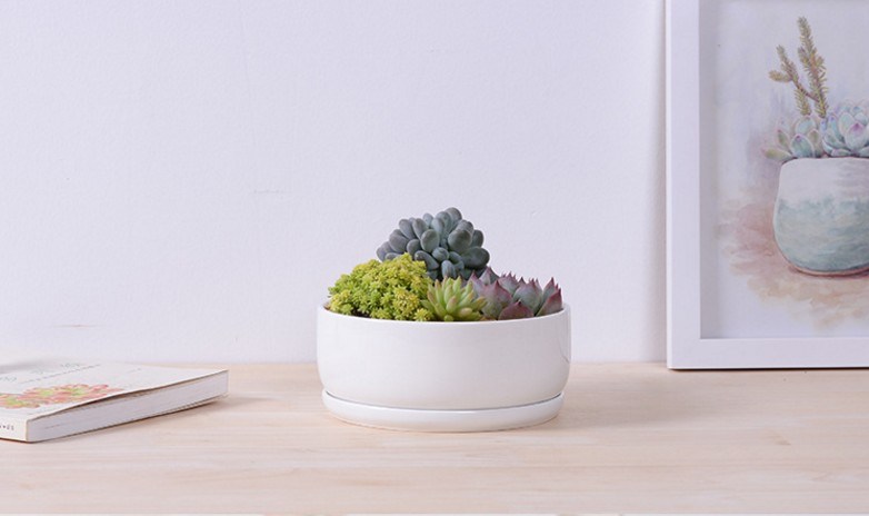 Base circulaire avec grand pot de fleurs en céramique blanche