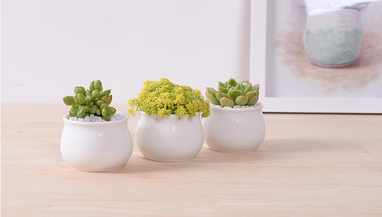 Décoration de bureau créative Mini pot de fleur en céramique rond blanc