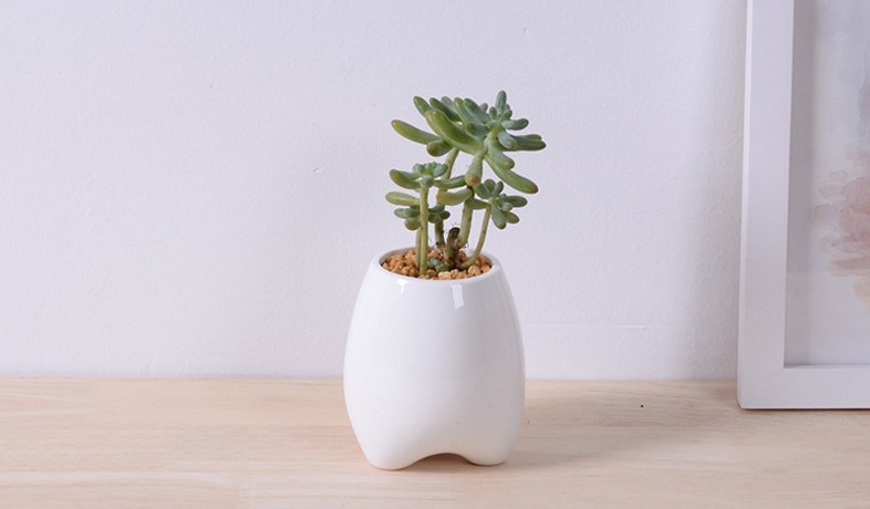 Pot de fleur en céramique de mode de personnalité créative ivoire