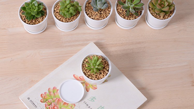 Bureau de loisirs petit vase à fleurs rond en céramique