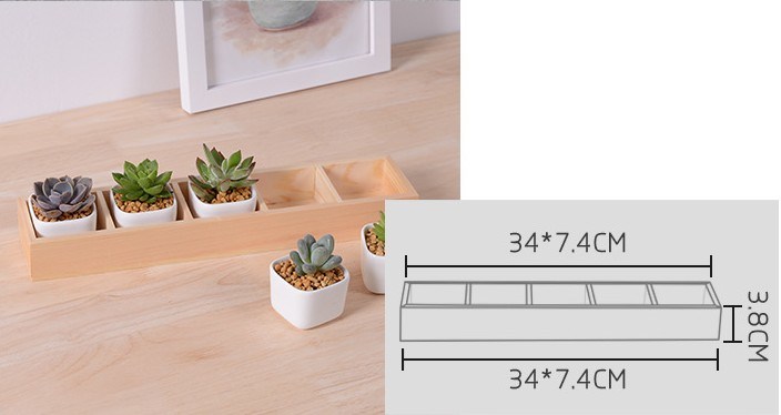 Boîte de 5 treillis avec pot de fleur en céramique blanche