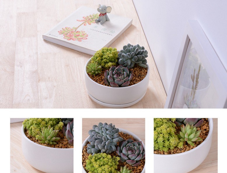 Base circulaire avec grand pot de fleurs en céramique blanche
