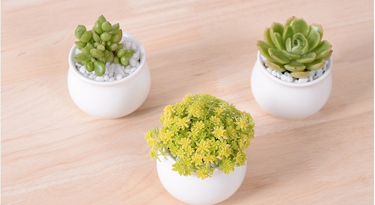 Décoration de bureau créative Mini pot de fleur en céramique rond blanc