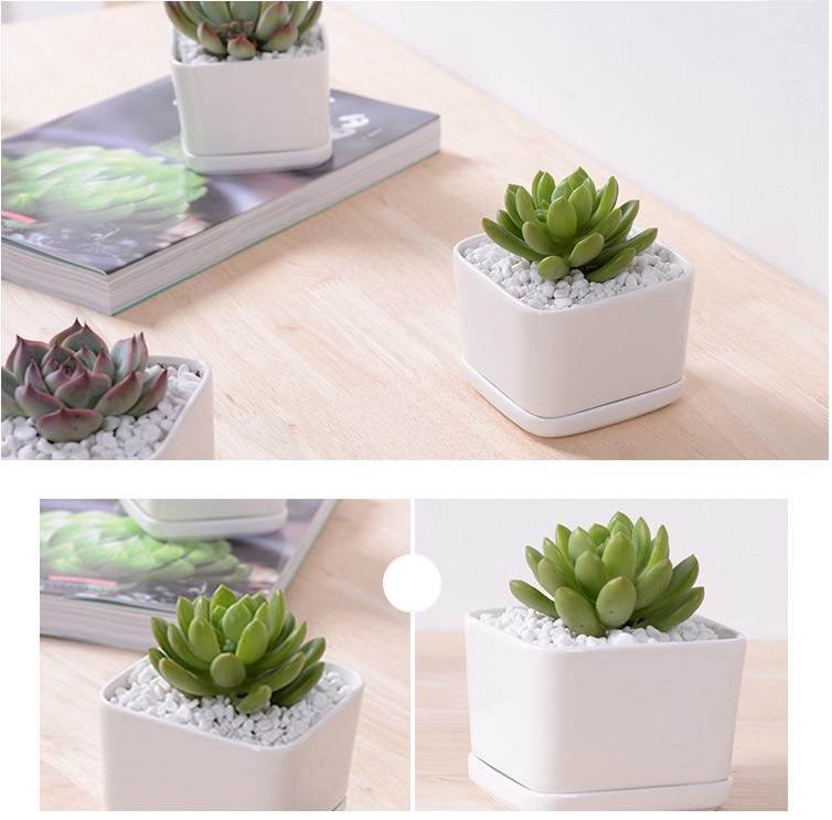 Pot de fleur carré blanc contenant une base