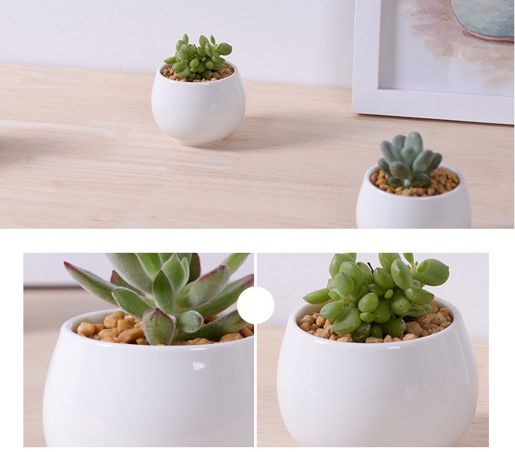 Pot de fleurs en céramique blanc carré miniature créatif