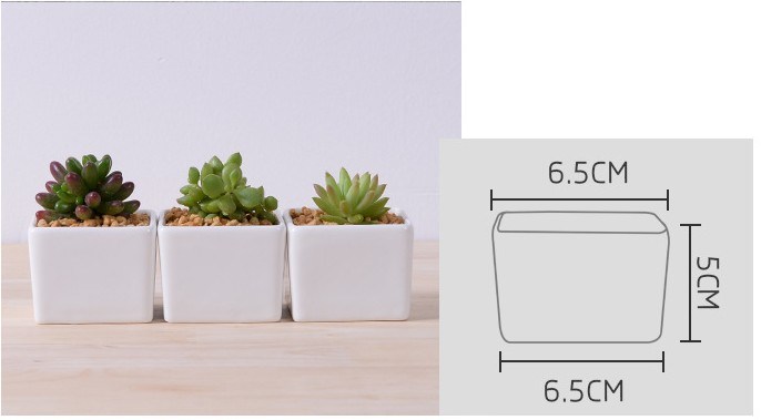 Table basse Type de bureau Pot de fleurs en céramique White Goose