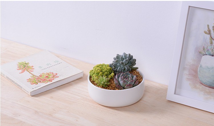 Petit pot de fleurs rond en céramique Nom: Pot en céramique carré