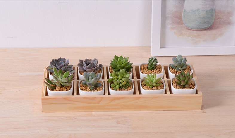 Bureau de loisirs avec 5 pots en céramique à base de treillis