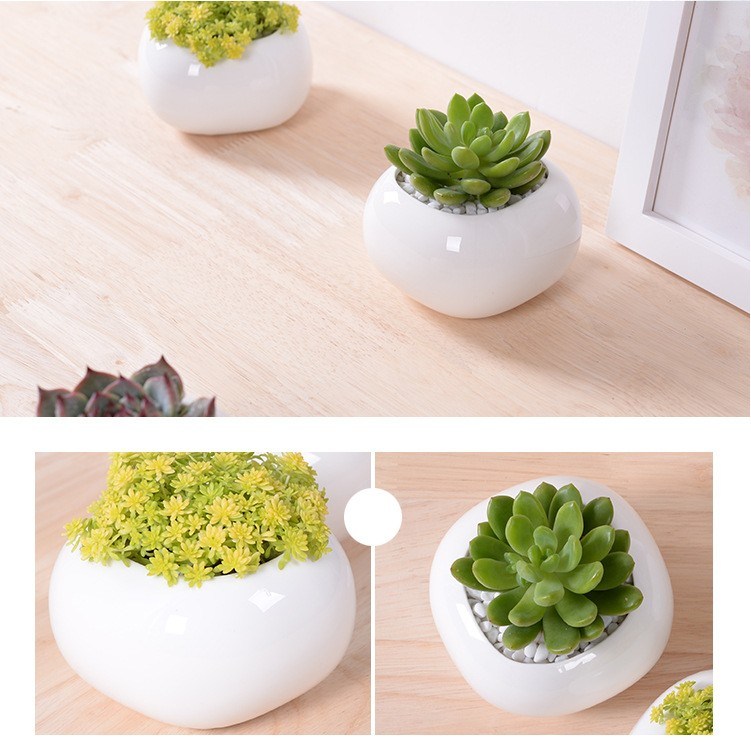 Mini pot de fleurs en céramique de bureau