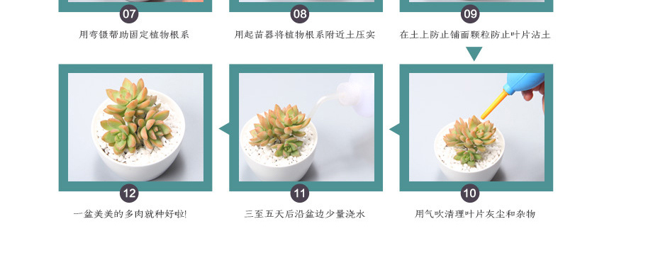 Décoration de bureau créative Mini pot de fleur en céramique blanche