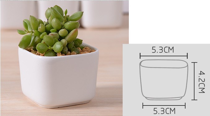 Décoration de bureau créative Mini pot de fleur en céramique blanche