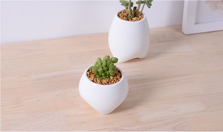 Pot de fleurs blanc en forme de petite dent en céramique ivoire
