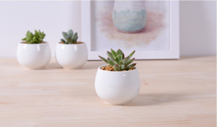 Pot de fleurs en céramique blanc carré miniature créatif
