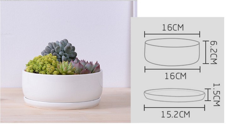 Base circulaire avec grand pot de fleurs en céramique blanche