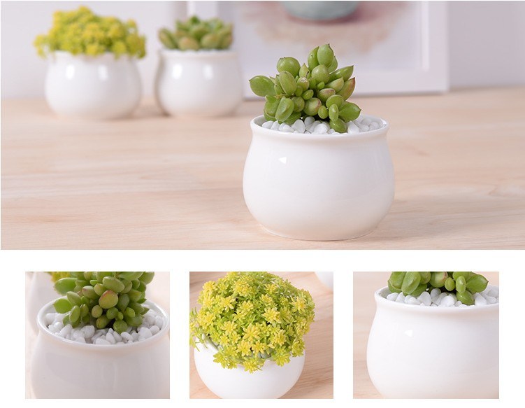 Décoration de bureau créative Mini pot de fleur en céramique rond blanc