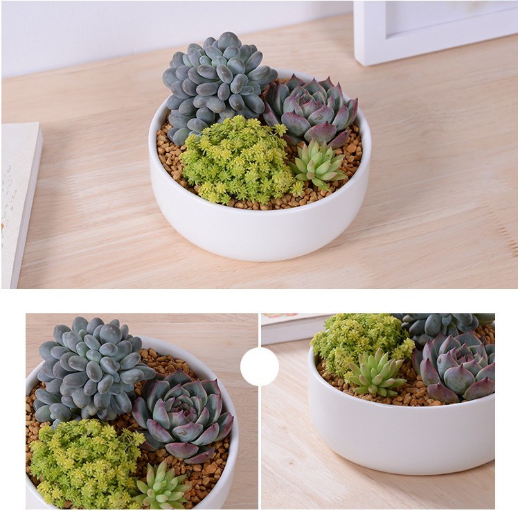 Petit pot de fleurs rond en céramique Nom: Pot en céramique carré