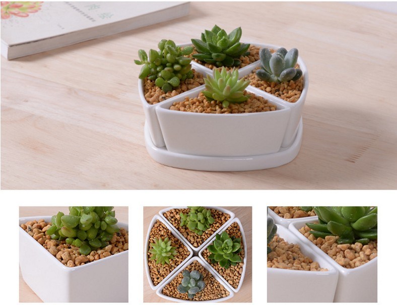 Desktop Cafe 6 Treillis de pot de fleur en céramique à base en bois
