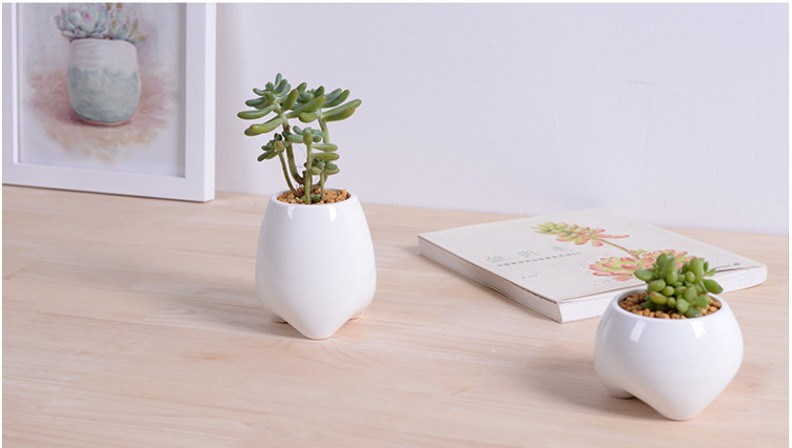 Pot de fleurs blanc en forme de petite dent en céramique ivoire