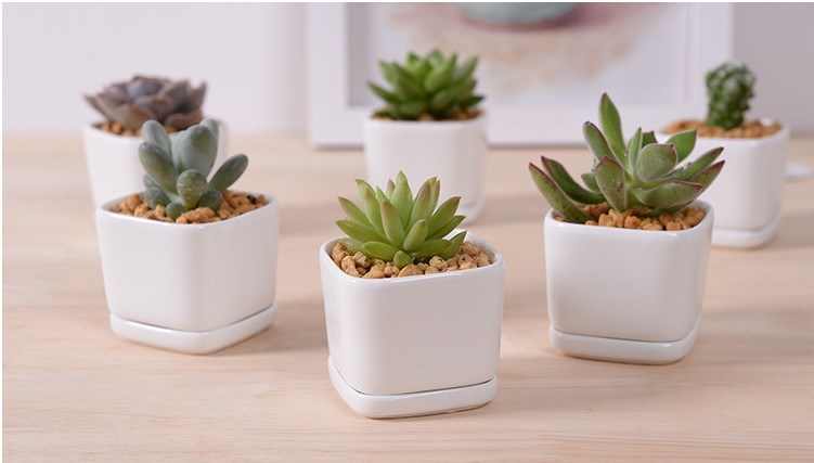 Pot de fleurs à base de porcelaine blanche en céramique de mode de personnalité