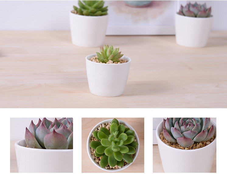 Grand mini pot de fleurs rond en céramique