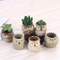 Artisanat artisanal hibou Design petit pot de plantes succulentes en céramique