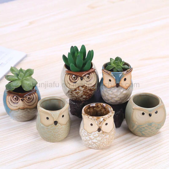 Artisanat artisanal hibou Design petit pot de plantes succulentes en céramique