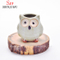 Pot de fleurs animal en porcelaine de jardinière de hibou de dessin animé en céramique / E
