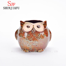 Pot de fleurs animal en porcelaine de jardinière de hibou de dessin animé en céramique / E