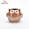 Pot de fleurs animal en porcelaine de jardinière de hibou de dessin animé en céramique / E