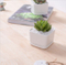 Pot de fleur carré blanc contenant une base