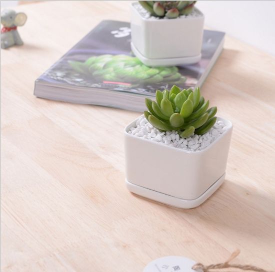 Pot de fleur carré blanc contenant une base
