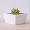 Table basse Type de bureau Pot de fleurs en céramique White Goose