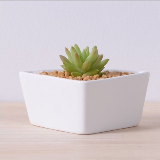 Table basse Type de bureau Pot de fleurs en céramique White Goose