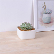Table Table Basse Circulaire Grand Pot De Fleurs En Céramique Blanc