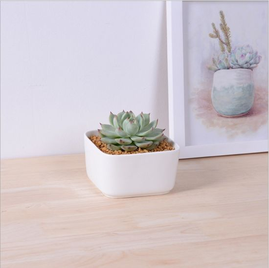 Table Table Basse Circulaire Grand Pot De Fleurs En Céramique Blanc